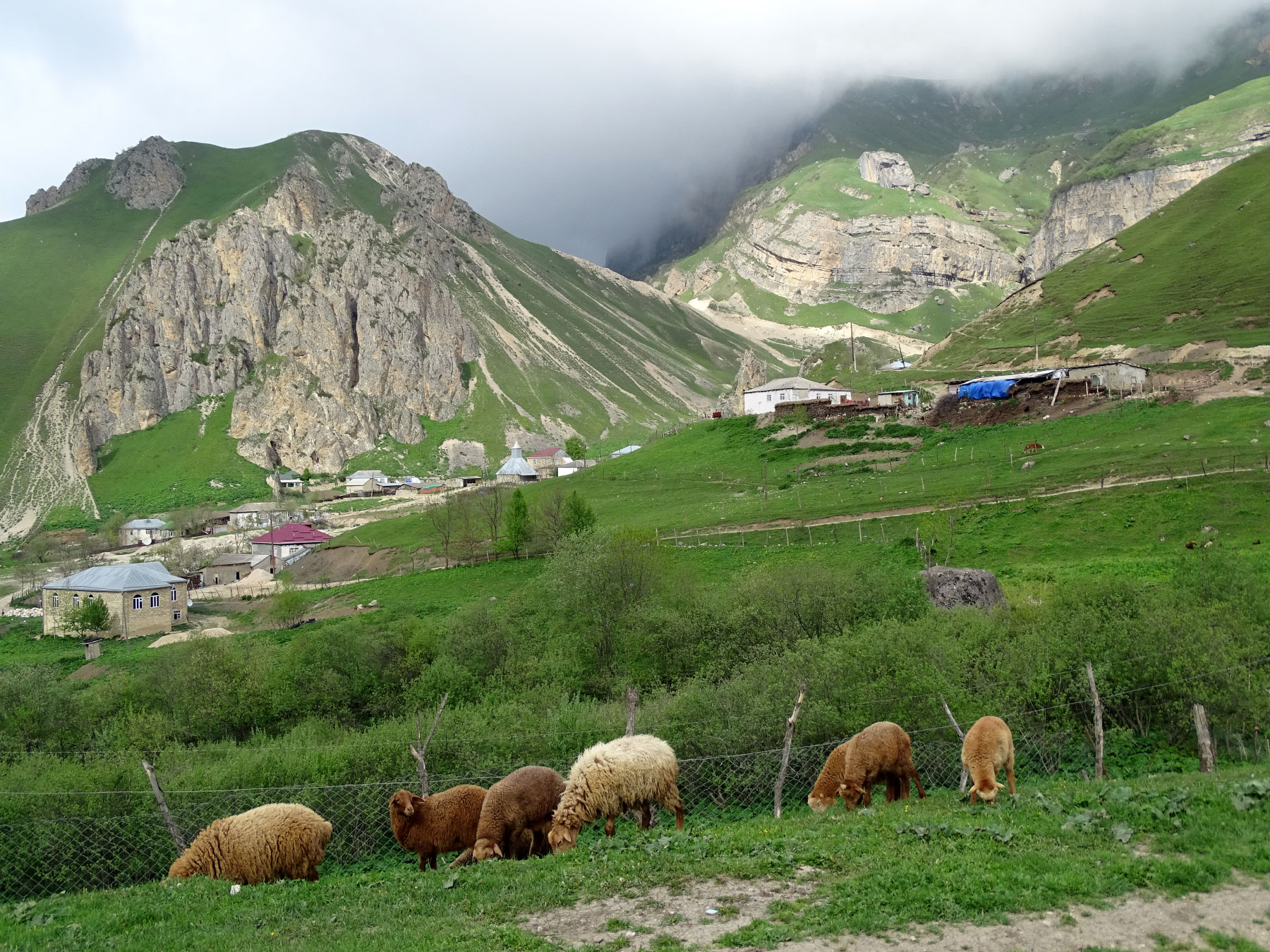 Laza (Photo license: CC BY 2.0)